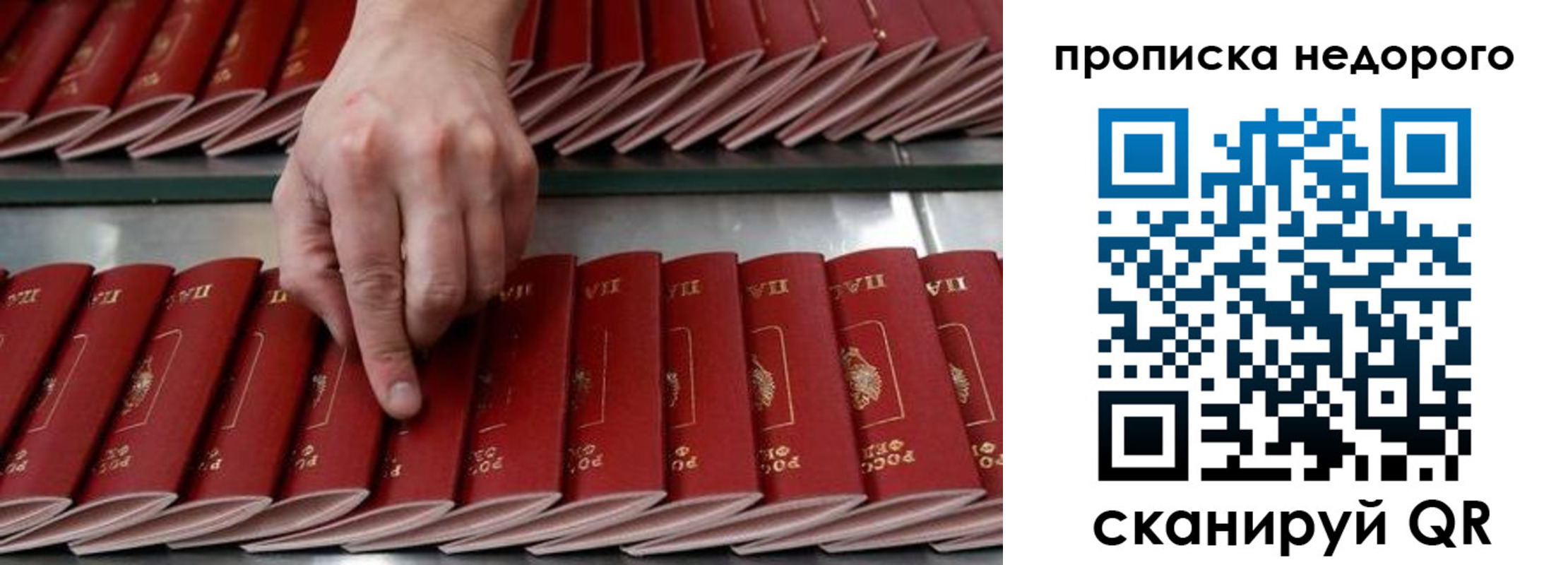 прописка регистрация в Дальнегорске